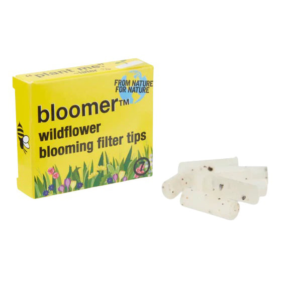 O bloomer™ | plantable wax filter tips box of 12