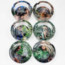 Durable Round glass ashtray Box of 6 Glass Ashtray Canadian Distributor CannaGirl A