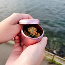 CANEMPIRE | Smell-Proof Transport Container Jar CanEmpire