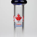 7" Glass Bong with Bowl [AK050] – Box of 24 Glass Bong Canadian Distributor