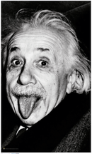 DIGITAL PRINTED 3' x 5' FLY FLAG Flag · Sign NIBO Distribution EINSTEIN TONGUE