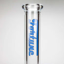 Fortune | 14" 9mm Beaker Glass Bong Glass Bong Fortune