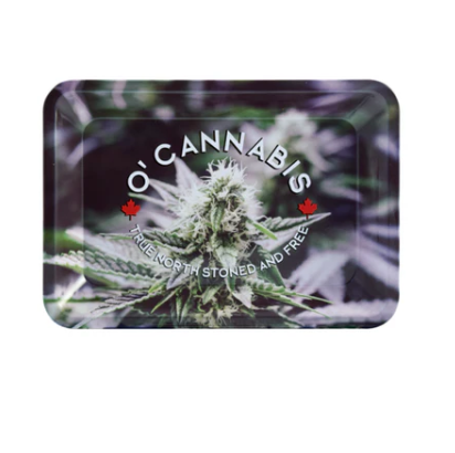 Raw | Rolling Tray MINl Size_1