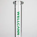 WellCann | 11" Beaker Glass Bong Glass Bong Smoking Cat Distribution