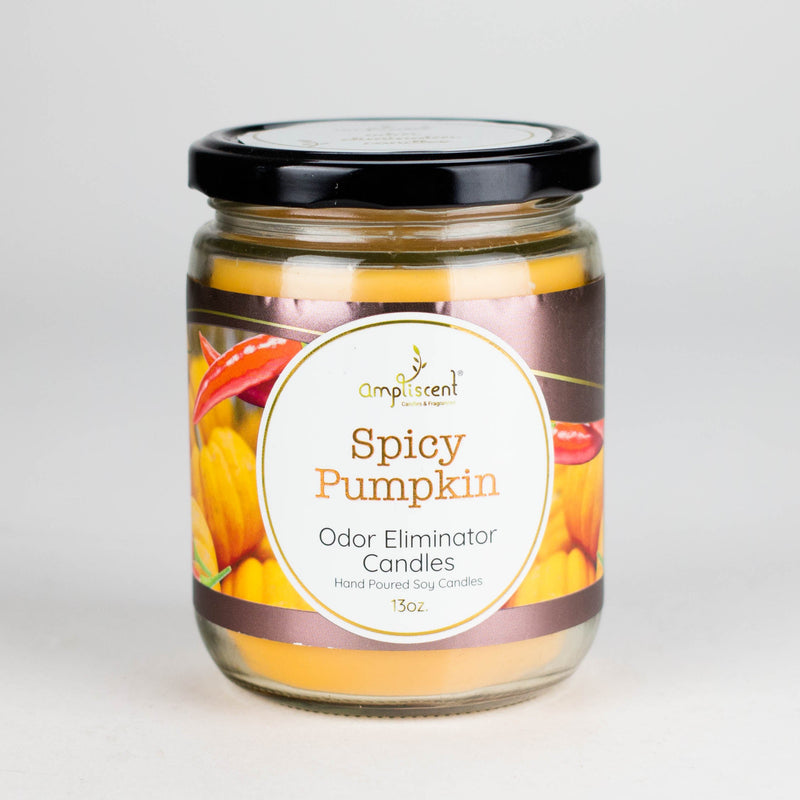 Ampliscent | Candles Odor Eliminator – 13oz Candle Canadian Distributor Spicy Pumpkin