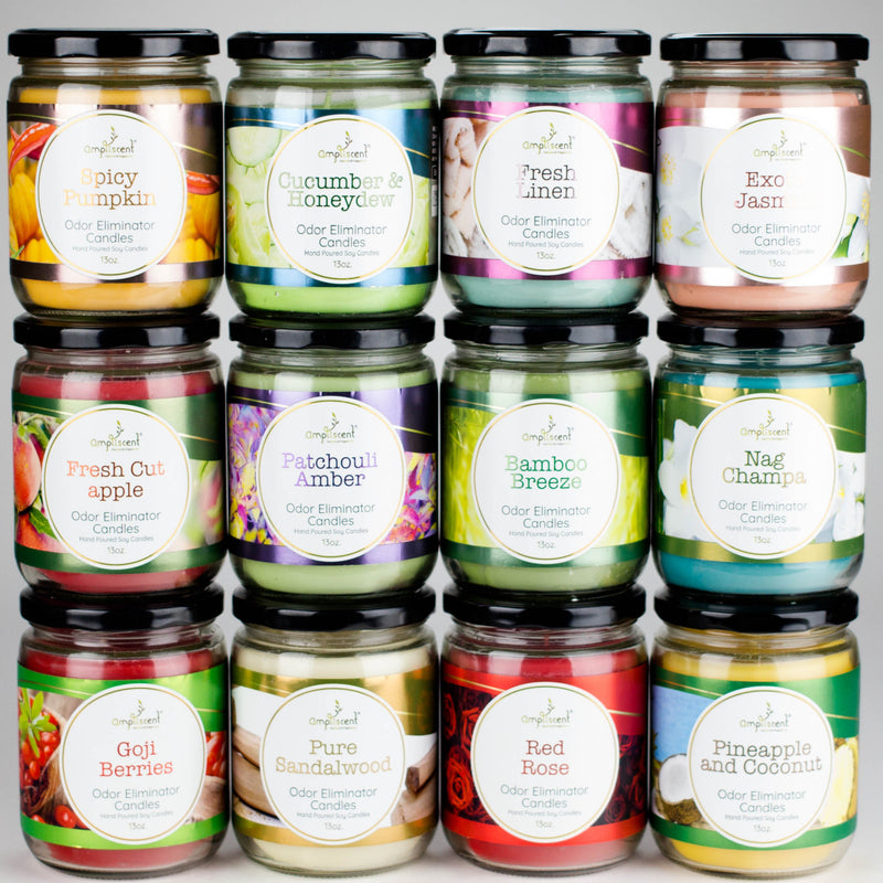 Ampliscent | Candles Odor Eliminator – 13oz Candle Canadian Distributor