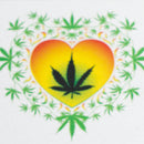 Haze | 9″ Heart Leaf Double Bubble Base Glass Bong with Color Lip – Amber (Mini-U) Glass Bong Canadian Distributor