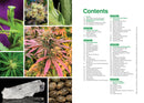 The Cannabis Grow Bible, 4th Edition Book Green Candy Press