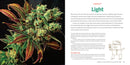 Marijuana 101 Book Green Candy Press