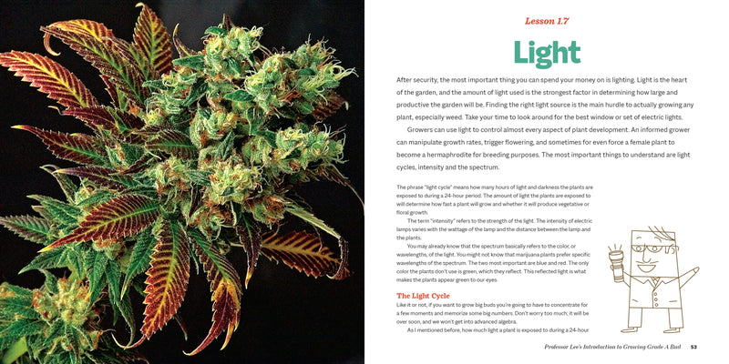 Marijuana 101 Book Green Candy Press