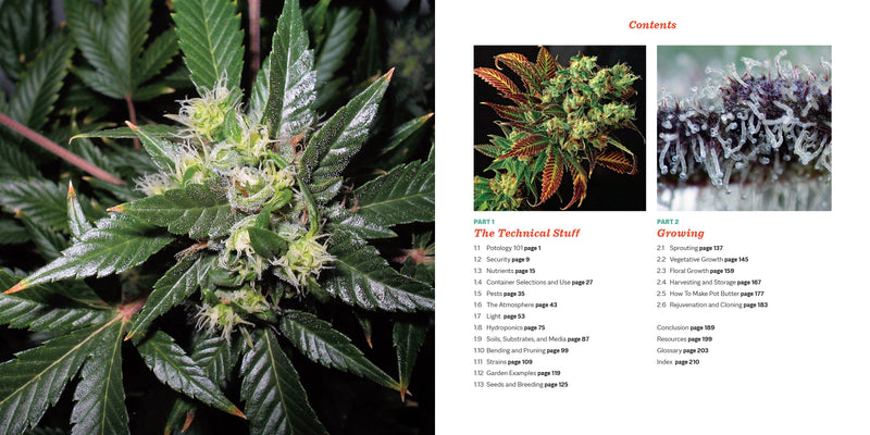 Marijuana 101 Book Green Candy Press