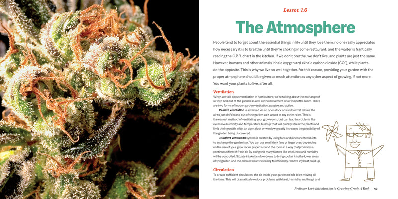 Marijuana 101 Book Green Candy Press