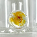 10" Double Layer Honeycomb Perc Glass Bong Super Supplys Inc