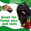 Bo da Bong - Parody Plush Rasta Color Squeaker Dog Toy - 9" For Pet PAW:20
