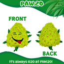 Bud Jr. the Weed Nug - Plush Catnip Cat Toy - 3" For Pet PAW:20