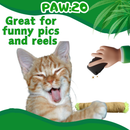 Lil' B the Blunt - Stuffed Parody Catnip Cat Toy - 5" For Pet PAW:20