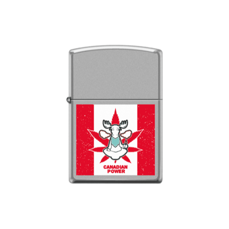 O Zippo 58291 Leaf Canadian Leaf Power