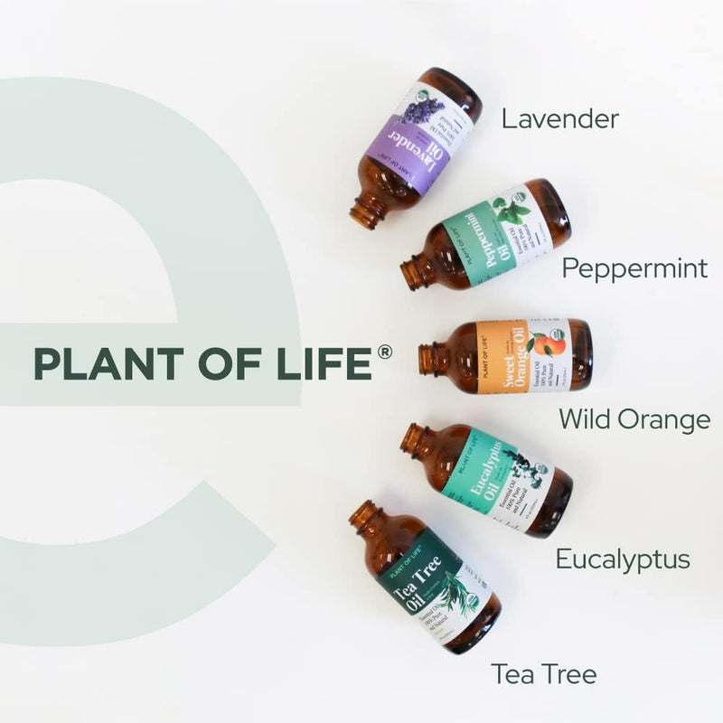 O Plant of Life | Organic Essential Oil 1oz