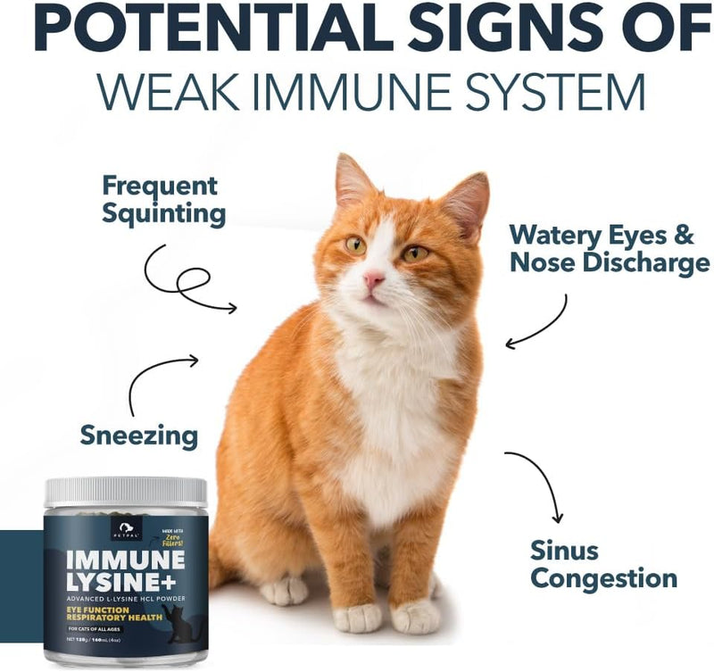 O PetPal | L-Lysine Immune and Respiratory Support Supplement for Cats