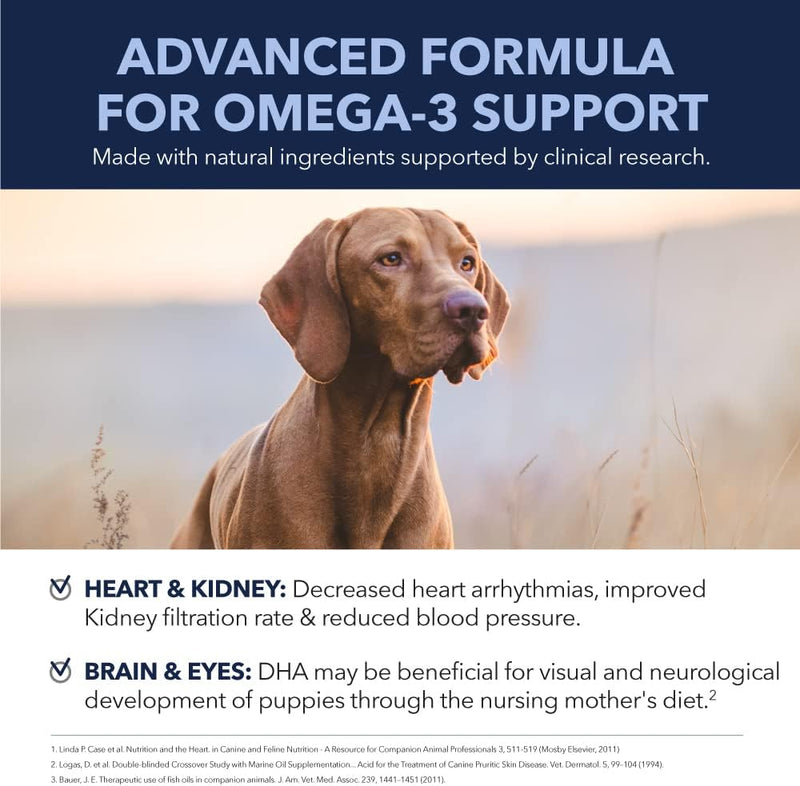 O PetPal | Skin & Coat Omega Soft Chew Treats for dogs