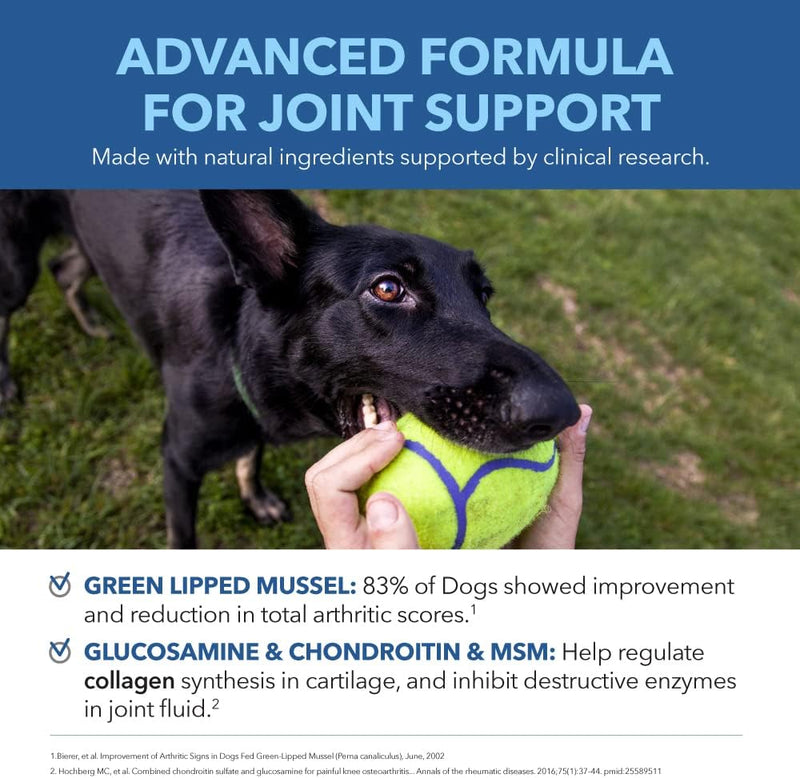O PetPal | Hip & Joint Mobility - soft Chews with Chondroitin & MSM