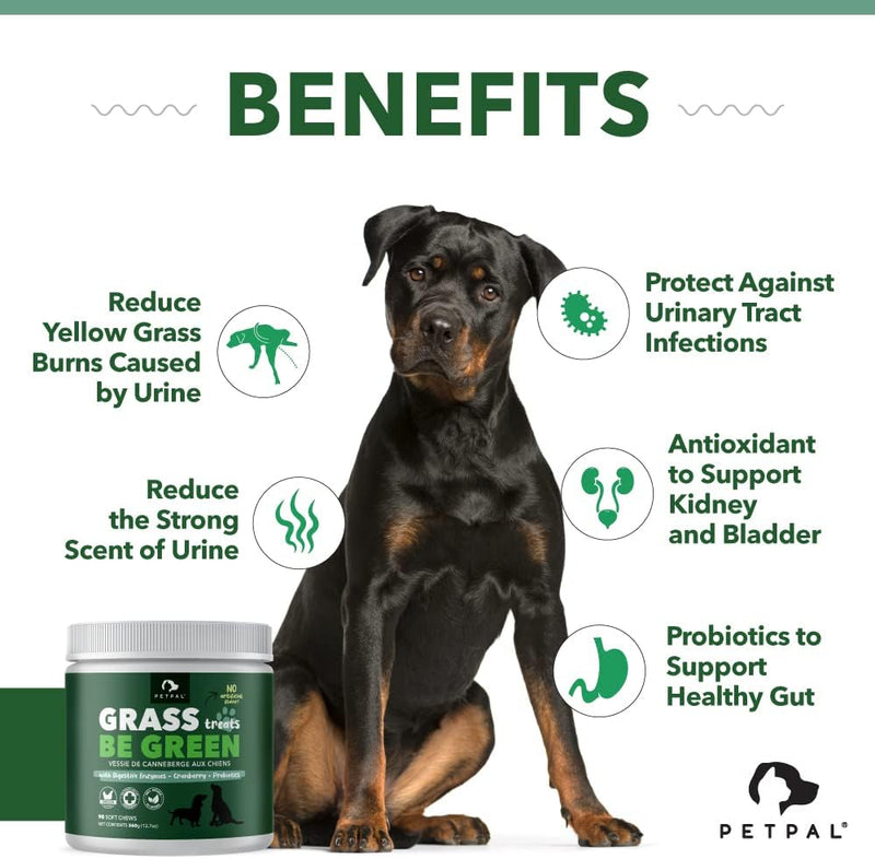 O PetPal | Green Grass Urine Soft Chew Treats for Dogs