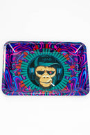 The 12 style of new graphic design tray display-B Tray ONE