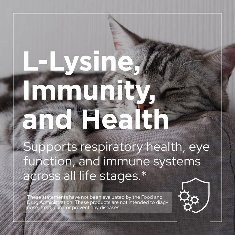 O PetPal | L-Lysine Immune and Respiratory Support Supplement for Cats