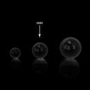 Honeybee Herb - HONEY PEARLS Cap · Dabber · Insert · Clip · Nail Honeybee Herb Clear 6 mm