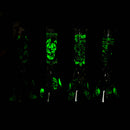 10" Glow-in-the-Dark Monster Design Glass Beaker Bong Glass Bong 777 Smoke
