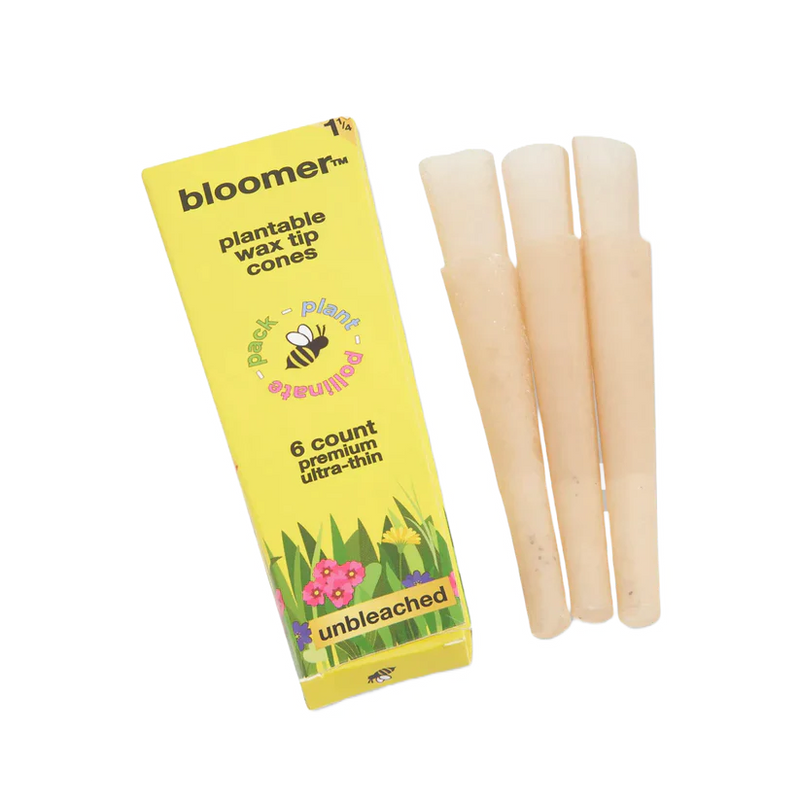 O bloomer™ 1-1/4 paper cones - unbleached Box of 21