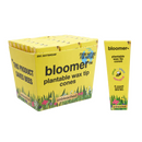 bloomer™ 1-1/4 paper cones - unbleached Box of 21 Pre-rolled Cone (Display Pack) bloomer