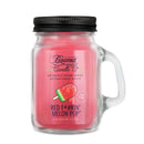 Beamer Candle Co. | Premium Smoke Killer Jar Candle Candle LEHIGH WHOLESALE RED FKIN MELON POP