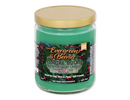 SC Smoke Odor Exterminator NEW WINTER SCENTS 13 oz Candles