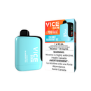 VICE BOX 2 DISPOSABLE - COCONUT BLUEBERRY ICE (4PCS/CTN) [ON] - Valor Distributions