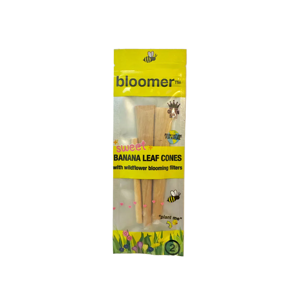 O bloomer™ | sweet banana leaf cones box of 20