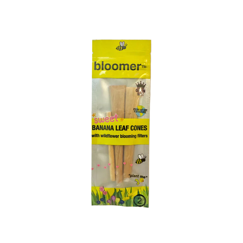 O bloomer™ | sweet banana leaf cones box of 20