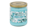 SC Smoke Odor Exterminator NEW WINTER SCENTS 13 oz Candles