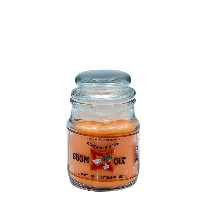 Boom Out Odor Eliminator Candle 4oz